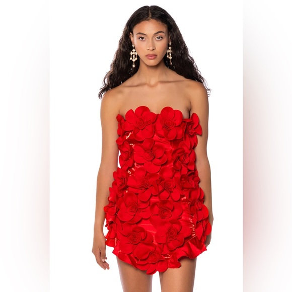 AKIRA Dresses & Skirts - SOLD OUT NWT Akira Red She’s A Masterpiece Floral Mini Dress Size: Small